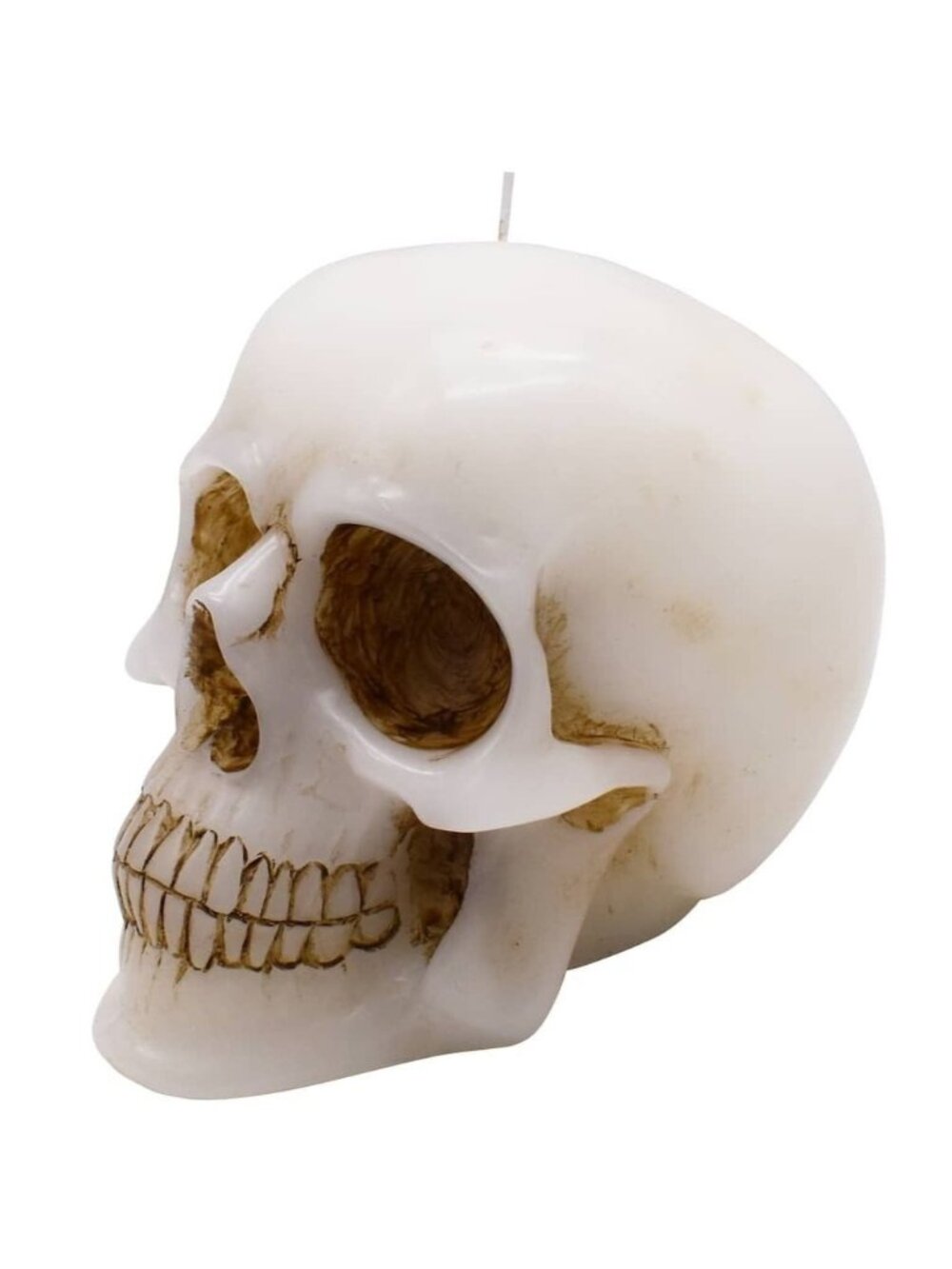 Scary Skull Candle Halloween Decoration DDLM Magic Wicca Goth Ashland Michael's